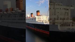 What came after the Titanic? 🤔 #cruise #cruising #ships #cunard ⛴️