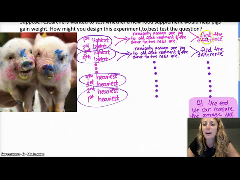 AP Statistics | 4.2.4 | Blocking and Matched Pairs Design