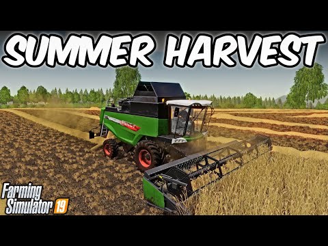 The Valley The Old Farm - Episode 1 (I Think...) | Farming Simulator 19