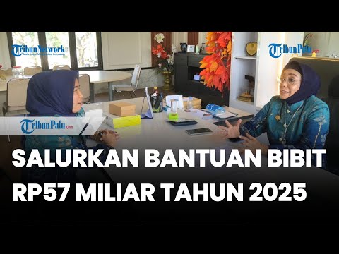 Realiasasi anggaran 2025