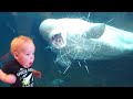 TRY NOT TO LAUGH Funny Weekend At The Zoo LAUGH TRIGGER