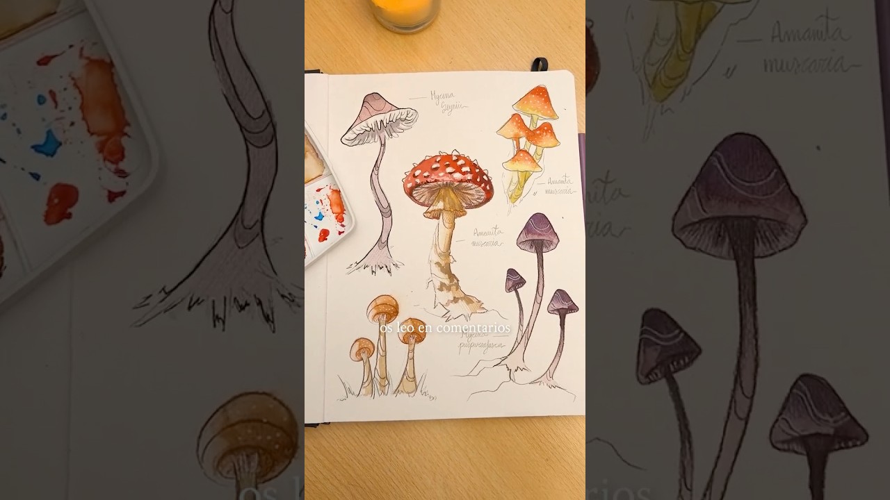 C&oacute;mo dibujar setas - YouTube