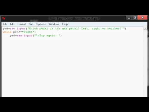 8 While Loop Test Solution In Python