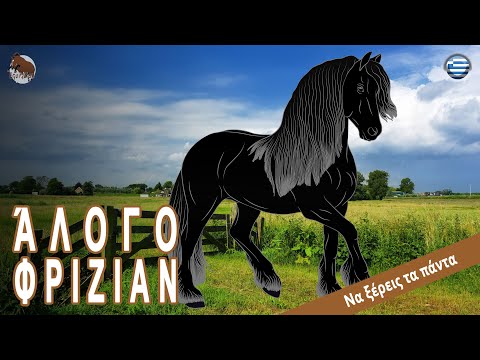 , title : 'Άλογο Φριζιαν, άλογα που αποτελούν μέρος της πολιτιστικής κληρονομιάς της Ολλανδίας, Ράτσες αλόγων'