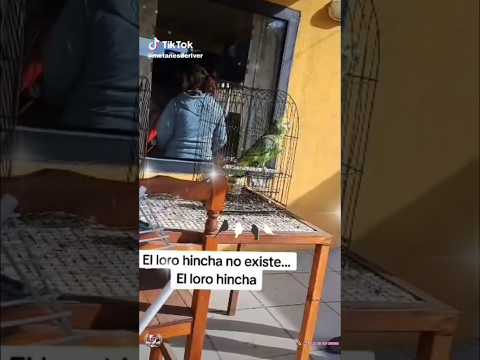 El loro 🦜 incha del River Plate es propiedad del amigó Victor Hugo López de San Miguel de Tucumán.