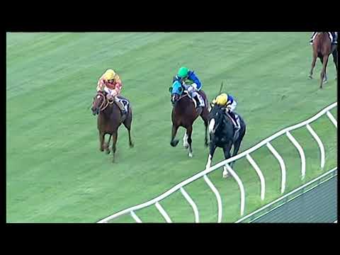 Napoli Galoppo 15/06/2021 - 6ª corsa