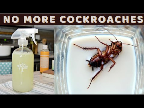 YouTube video about: What is the most effective way to get rid of roaches in the microwave?