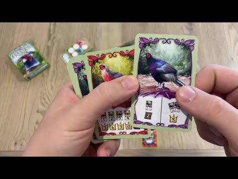 How to Play and Review