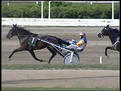 Trotto 18/09/2014 - 1° corsa