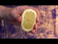 SATISFYING LEMON SQUEEZE