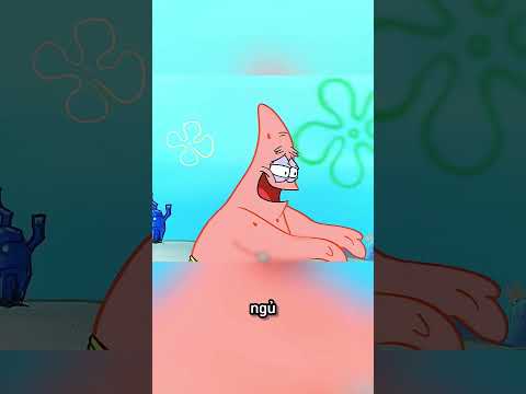 spongebob: cách ngôi nhà dứa của spongebob được tạo ra