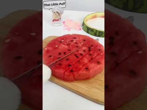 #小貓做飯#貓咪日記#美食#生活