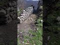 Tišina Koja Govori Manastir Svetog Pantelejmona Samograd Kod Bijelog Polja U Crnoj Gori