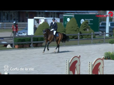 Hengstvorführung Mai 2021 | Corfu de la vie