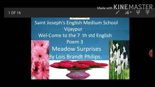 Poem 3 - Meadow Surprises- Video 01