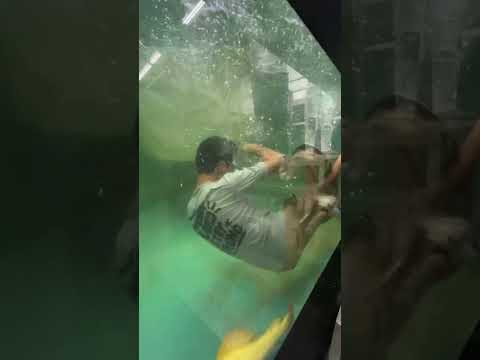 Been 2 years since I got KO by a fish😳🤣