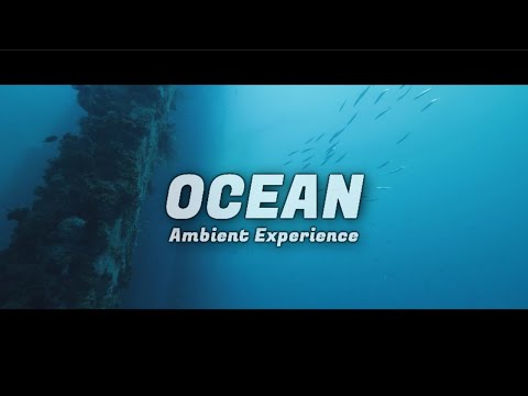 Fabbro - Ocean | Ambient Experience | #fabbro #chillout #ocean