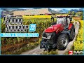 How To Plant Grapes 🍇 & Olive 🫒 In Sf 23  | #fs23 #farmingsimulator