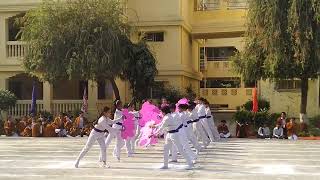 Maharishi Vidya Mandir Video