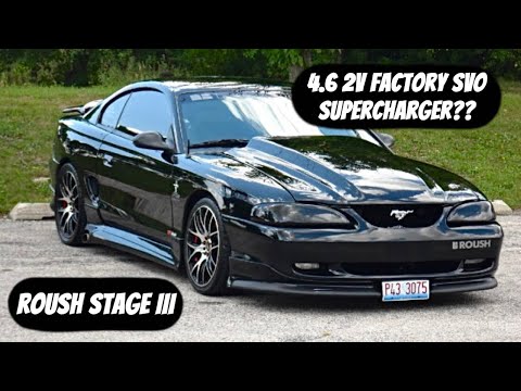 The SUPERCHARGED Mustang You’ve NEVER Heard About?!