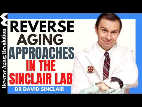 The Sinclair Lab - Reverse Aging Approaches | Dr David Sinclair Interview Clips