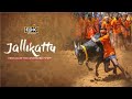Jallikattu - Festival Of Untameable Spirit || Indian Festivals || EPIC
