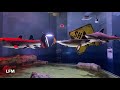 Sea Quest