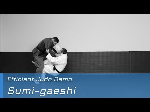 Sumi-gaeshi - Demo