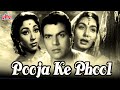 POOJA KE PHOOL Mala Sinha Dharmendra Old Classic Evergreen Film