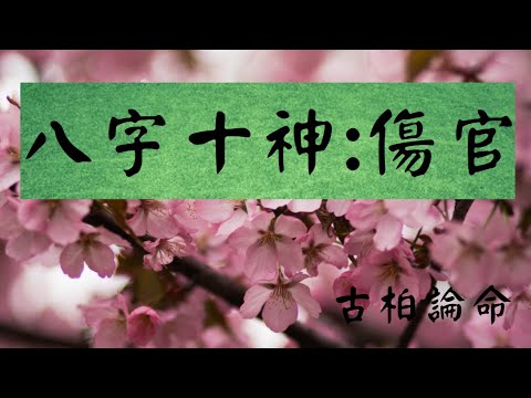 傷官 意思