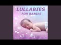 Itsy Bitsy Spider Lullaby Version