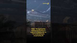 Օձեր՝ Քաղցրաշենի մանկապարտեզում. աշխատակիցներին ու 135 երեխաներին տարհանել են