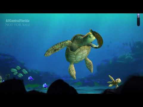 Turtle Talk with Crush | The Living Seas at Epcot 4K
