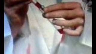 Trailer Un pelo en la sopa