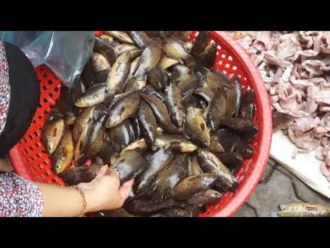 Asian Street Food 2018 - Wonderful Street Food In Phnom Penh - Cambodia (country)