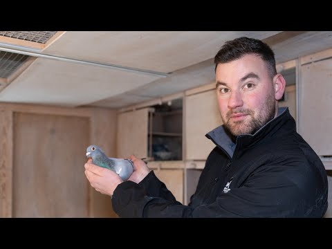 National WHZB/TBOTB/NPO winners 2022: 1st Not Nominated Long Distance, Stef Bals - Wouwse Plantage