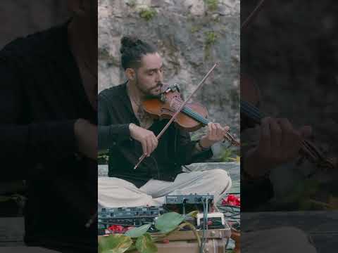 “Maqui” ya disponible en todas las plataformas IG @grillo.music