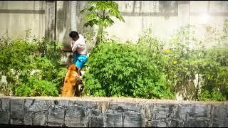 UM EM UM BILHÃO: CENAS UNICAS DO MUNDO ANIMAL