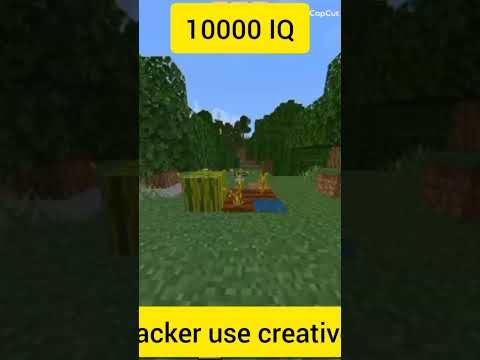 Layzco Videos: Insane 10 IQ to 10000 IQ Minecraft Players?!
