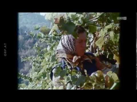 60 Jahre Südsteirische Weinstrasse - Der Film.