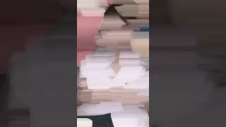 Download lagu viral Arachuu Pramuka mp3