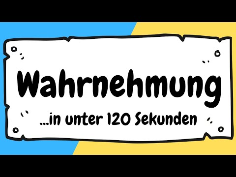 Menschliche Wahrnehmung in Pädagogik und Psychologie in unter 120 Sekunden erklärt | ERZIEHERKANAL