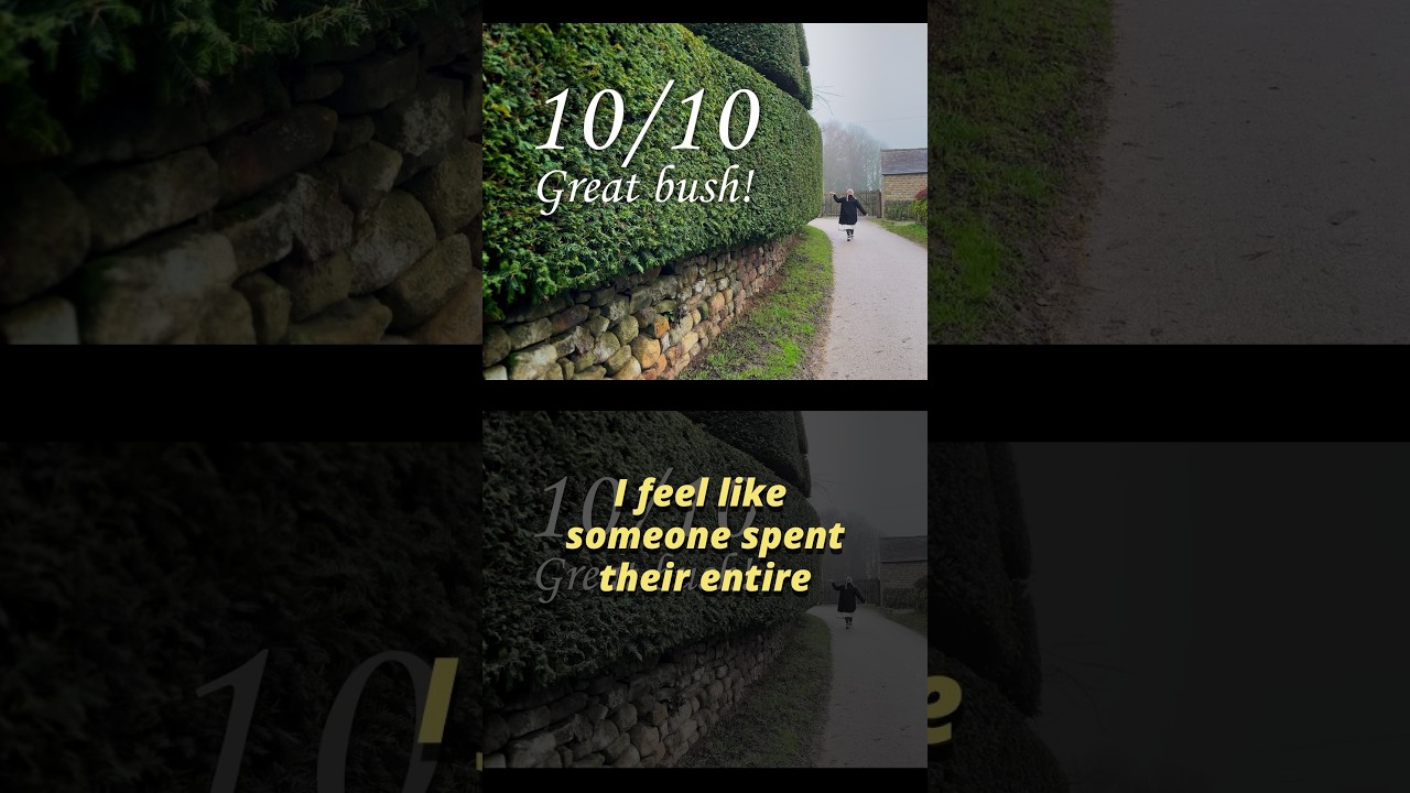 Shrubbery with knifes 🔪 #uktravel