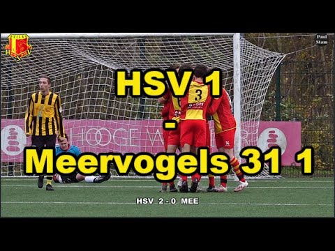 HSV 1 - Meervogels 31  1  | Heiloo