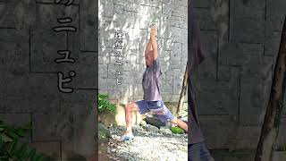 「ニュピの理想と現実」バリヒンドゥ教の元旦の過ごし方あるある(フィクションです)