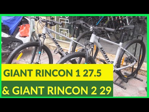 LIỆU CÓ SỰ NHẦM LẪN?Gigante Rincon 1 275 e Giant Rincon 2 29