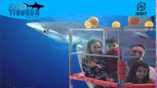 DIA 3 Expo Tiburon20