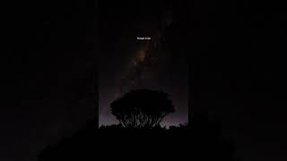 Download lagu story wa - Slank terlalu manis•||story wa 30 detik Slank cover felix mp3 Download lagu story wa - Slank terlalu manis•||story wa 30 detik Slank cover felix mp3