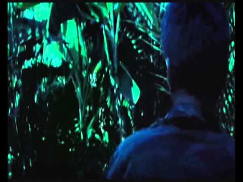 Never Get out of the boat