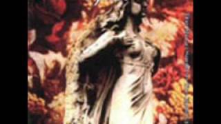 Ataraxia Colouring Nocturnal Lemons